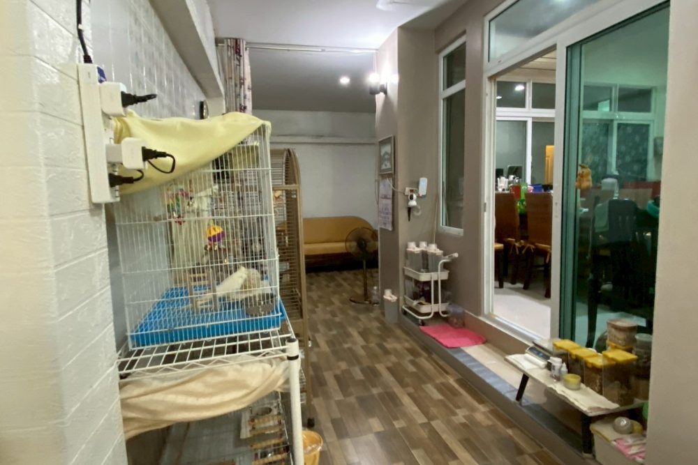 LINE_ALBUM_ภาพแนวนอน_251124_15